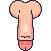 Penis