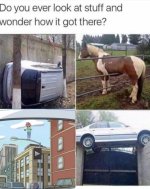 tskolsjd9u3z.jpg