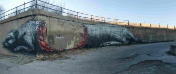 ROA.jpg