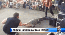 304.gif 304.gif