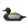 mrducks